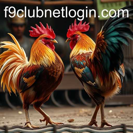 Cockfighting